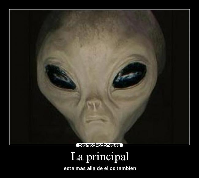 carteles para que son las etiquetas desmotivaciones