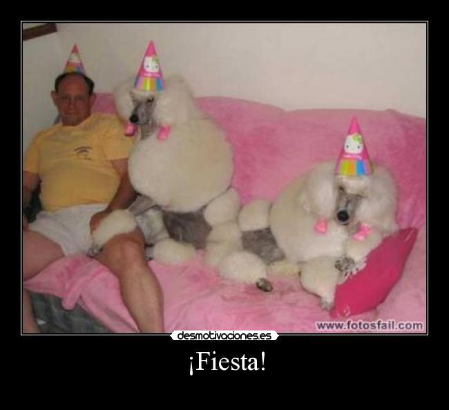 ¡Fiesta! - 