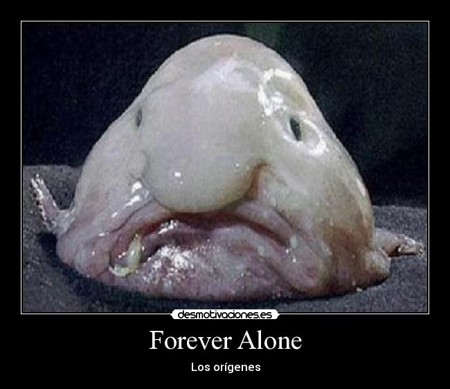 Forever Alone - 