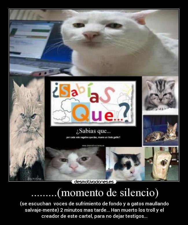 .........(momento de silencio) -