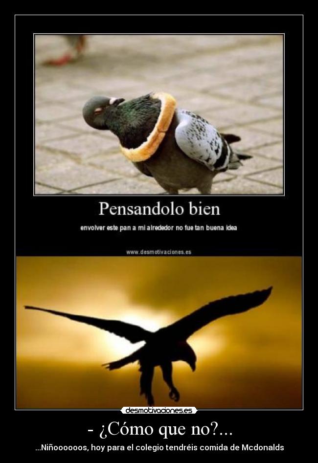 - ¿Cómo que no?... - 