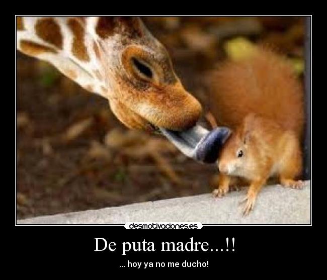 De puta madre...!! -