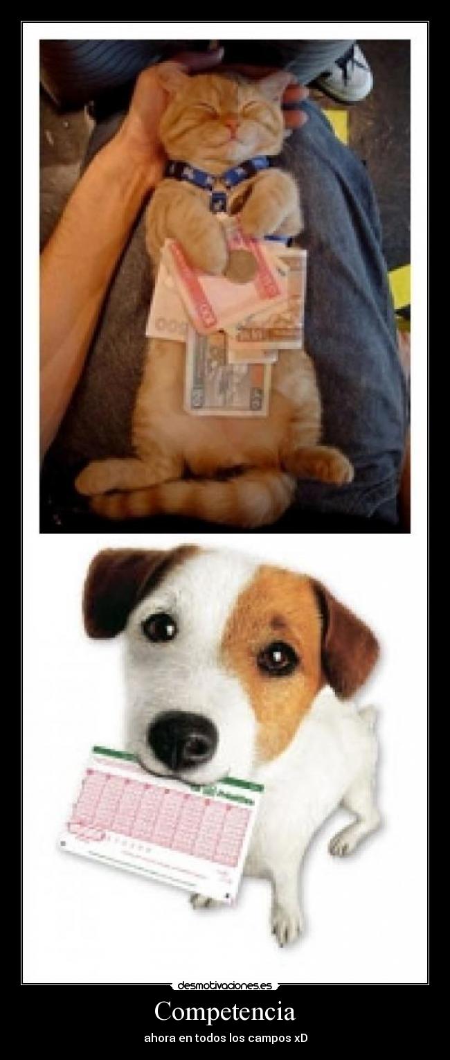 Competencia - ahora en todos los campos xD