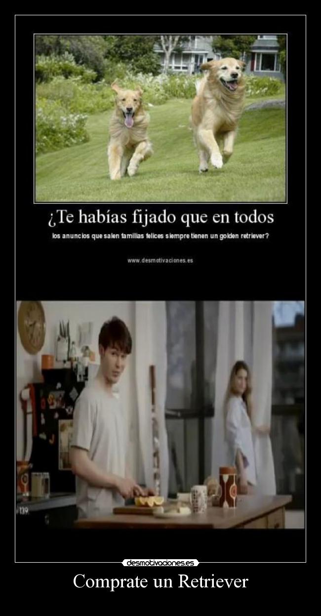 Comprate un Retriever -