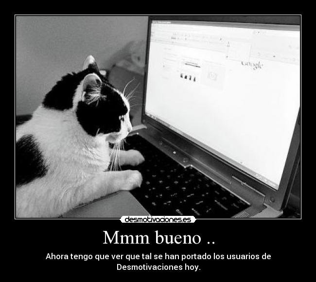 carteles desmotivaciones gato desmotivaciones