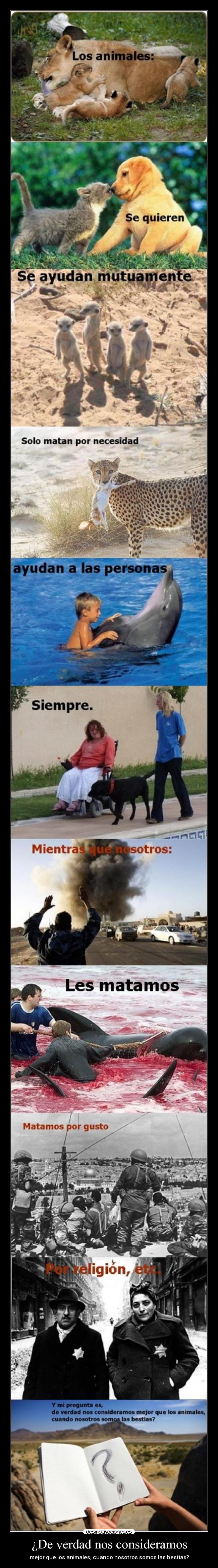 ¿De verdad nos consideramos -