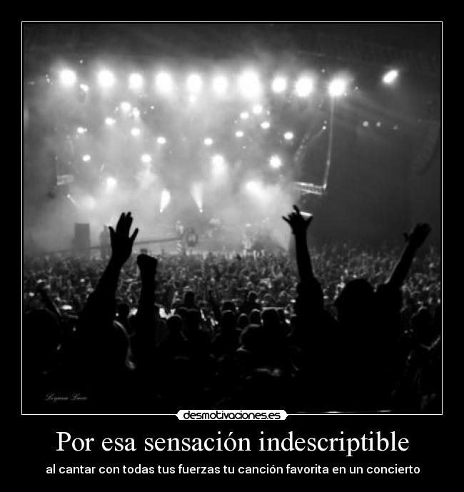 Por esa sensación indescriptible - al cantar con todas tus fuerzas tu canción favorita en un concierto