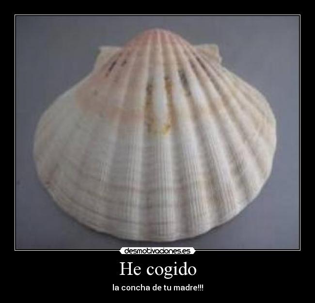 He cogido - 