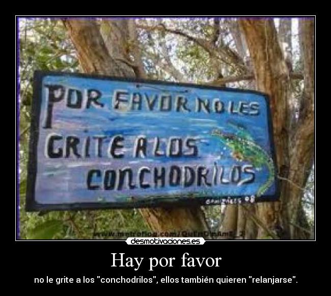 Hay por favor -