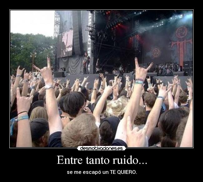 Entre tanto ruido... -