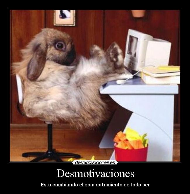 Desmotivaciones -