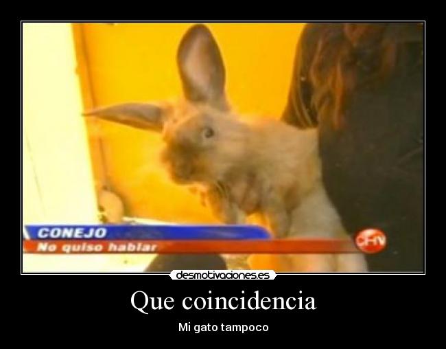 Que coincidencia - 