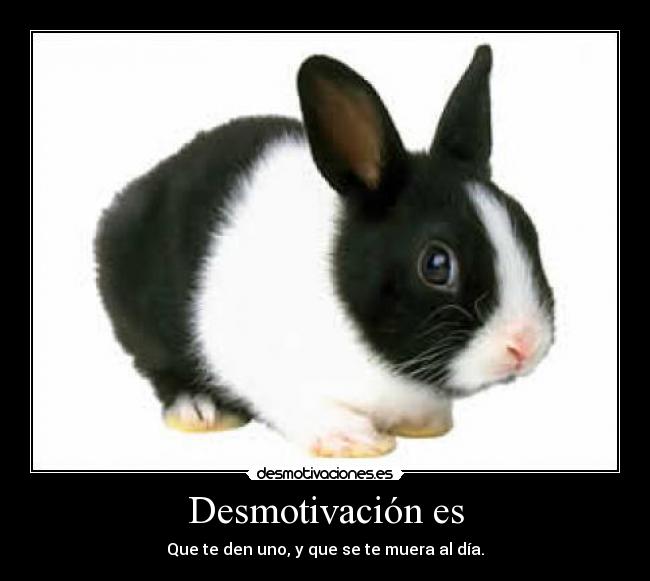 Desmotivación es - 