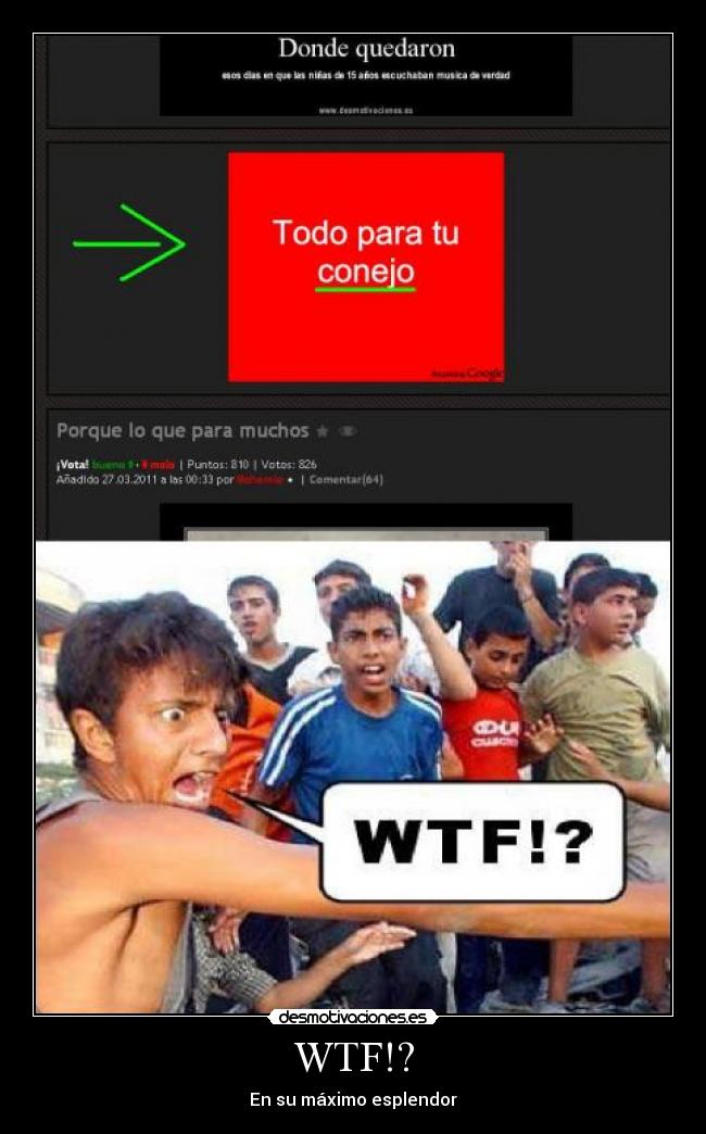 WTF!? - En su máximo esplendor