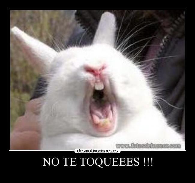 NO TE TOQUEEES !!! -