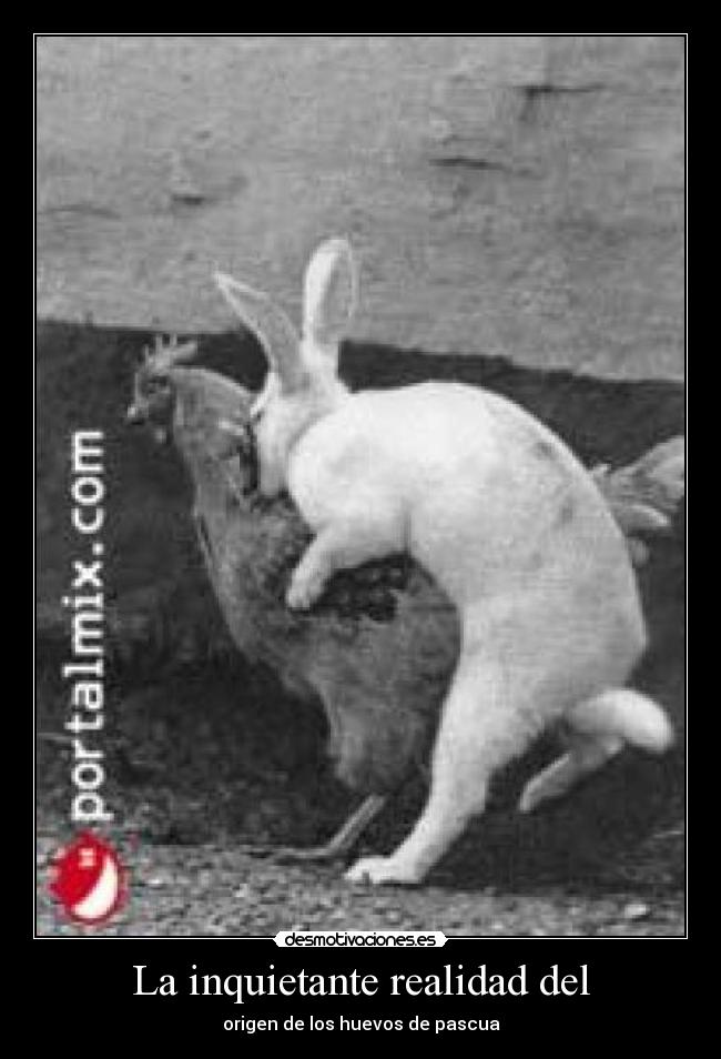 La inquietante realidad del - origen de los huevos de pascua