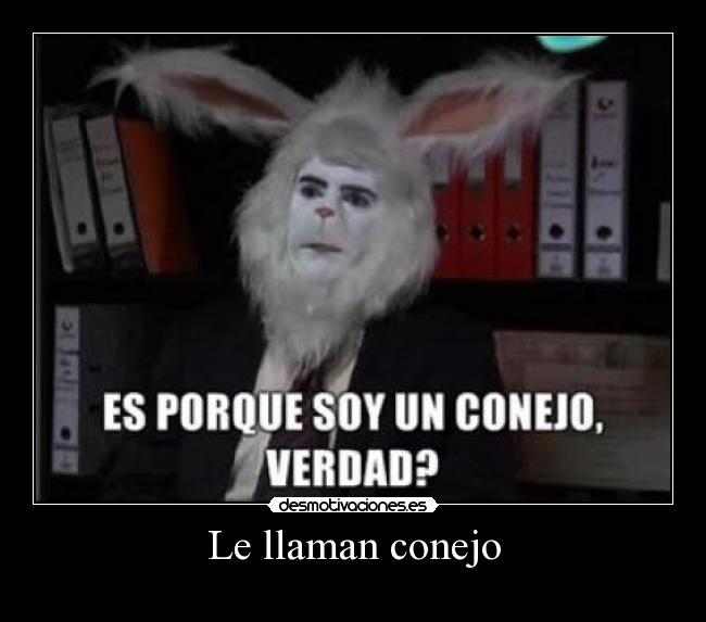 Le llaman conejo - 