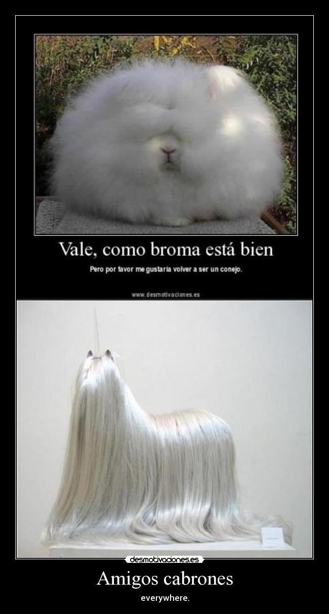 Amigos cabrones - everywhere.