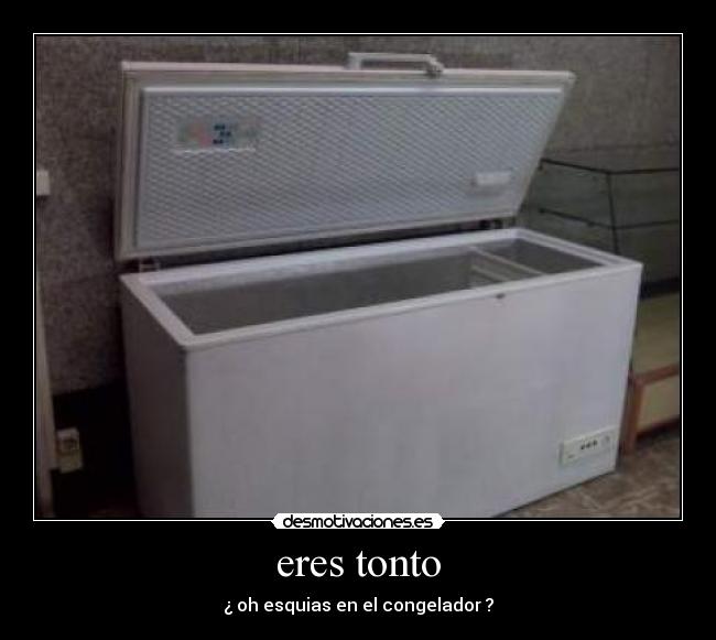 eres tonto - ¿ oh esquias en el congelador ?