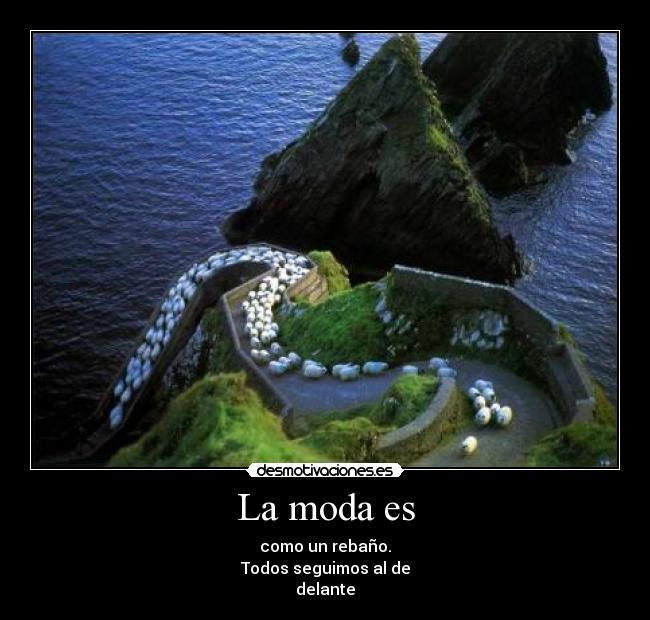La moda es - 