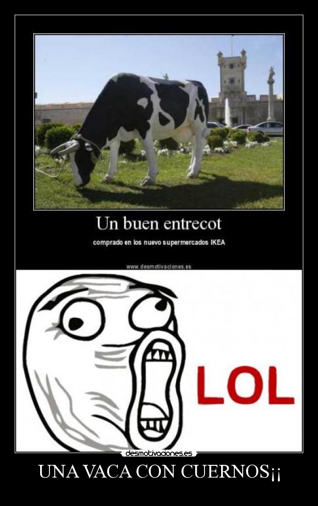 carteles una vaca con cuernos desmotivaciones