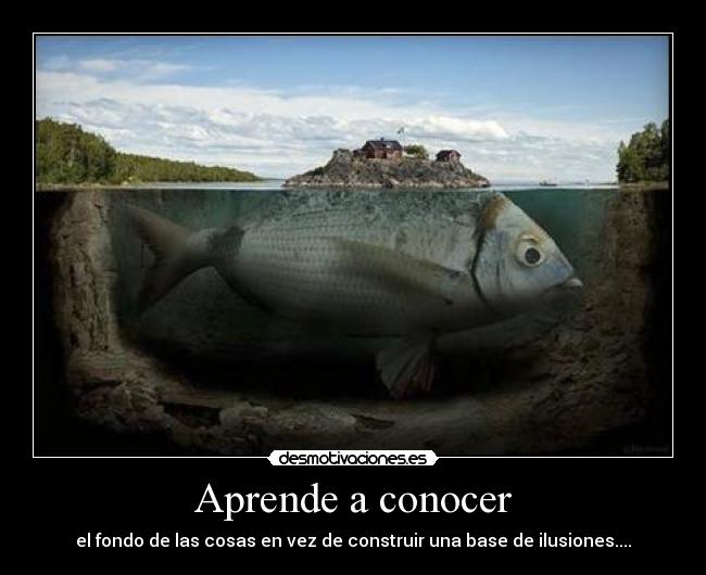 Aprende a conocer -