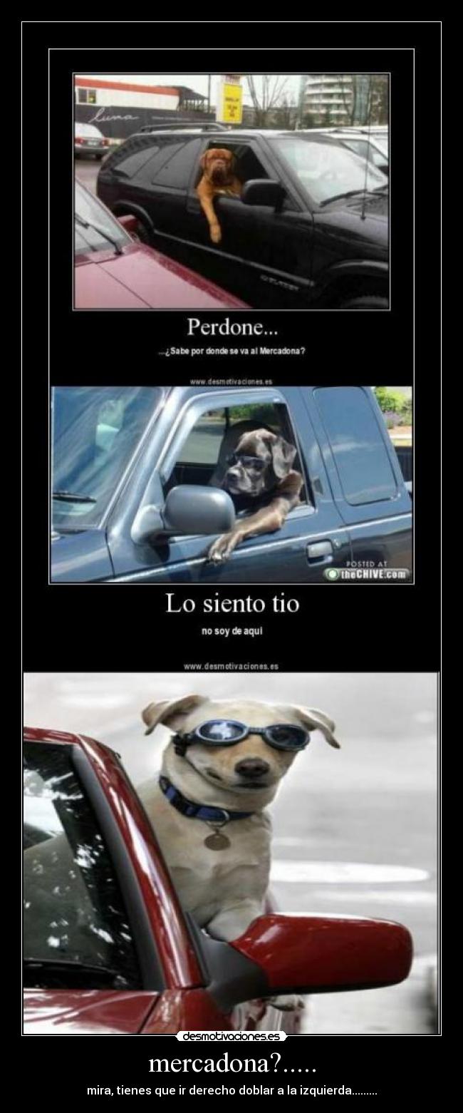 mercadona?..... - mira, tienes que ir derecho doblar a la izquierda.........