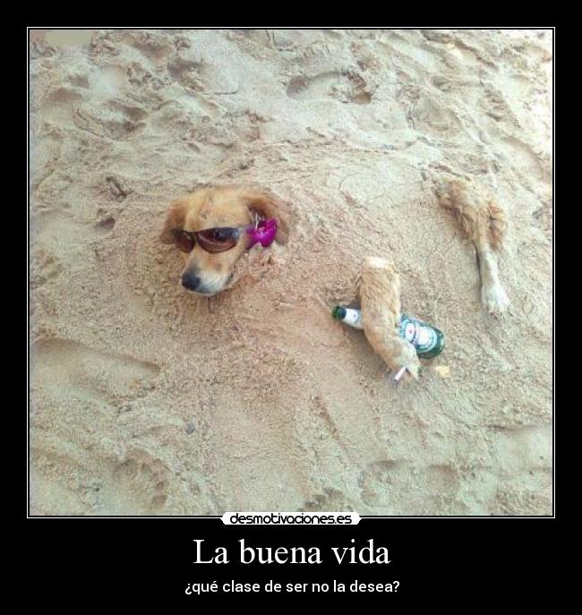 La buena vida - ¿qué clase de ser no la desea?