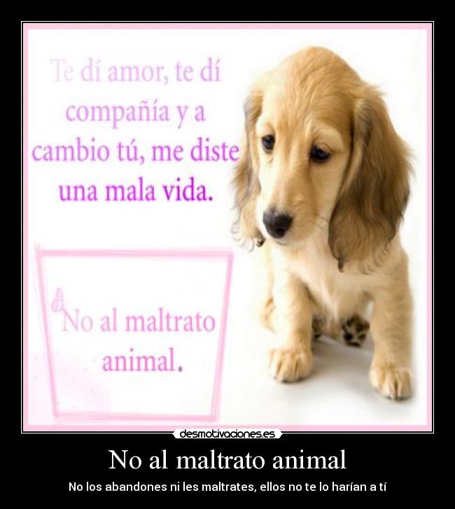 No al maltrato animal - 