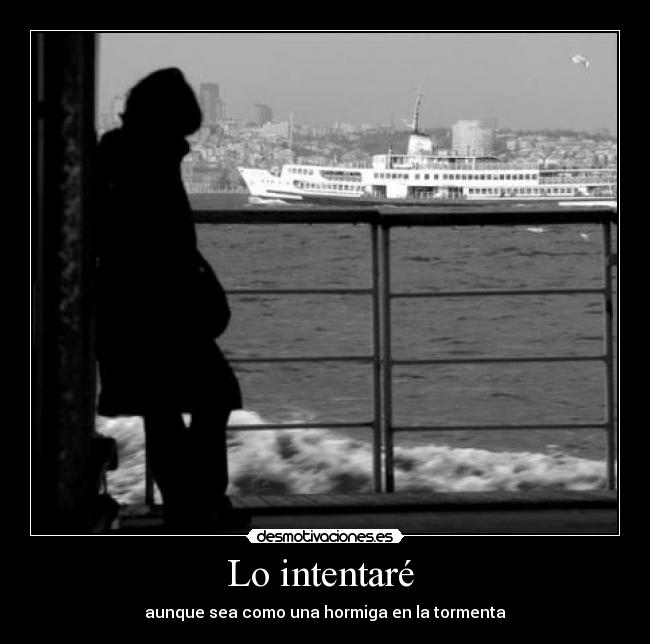 Lo intentaré  - aunque sea como una hormiga en la tormenta