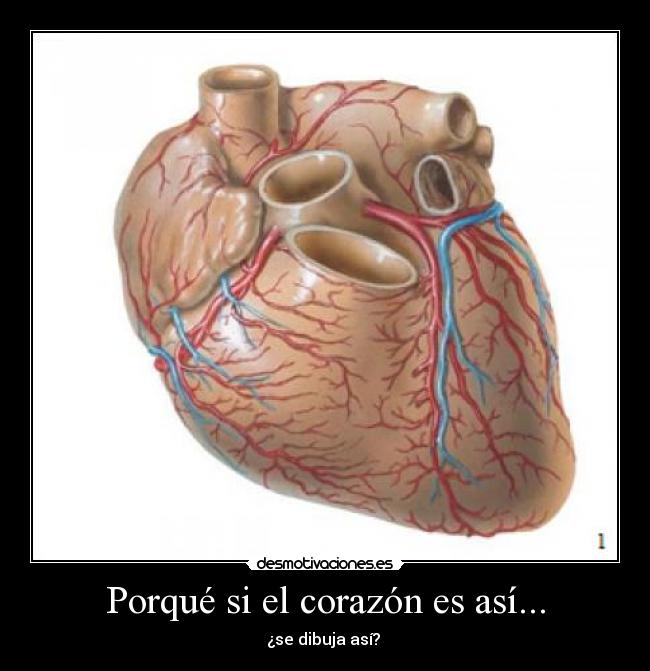 Porqué si el corazón es así... - 