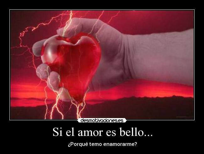 carteles amor amor bello porque temo enamorarme 7o7 desmotivaciones