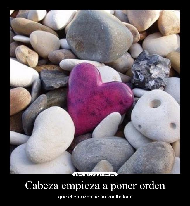 Cabeza empieza a poner orden - 