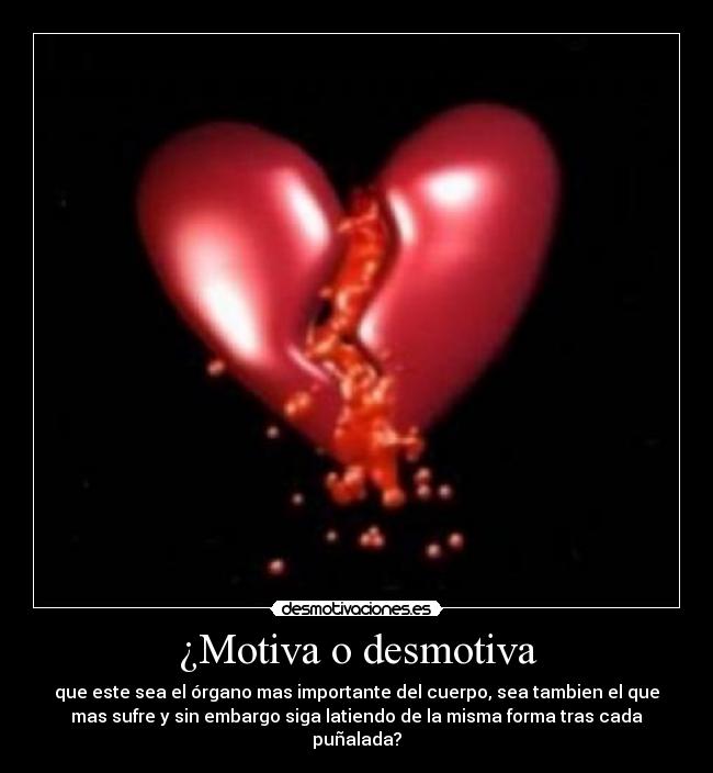 ¿Motiva o desmotiva - que este sea el órgano mas importante del cuerpo, sea tambien el que
mas sufre y sin embargo siga latiendo de la misma forma tras cada
puñalada?