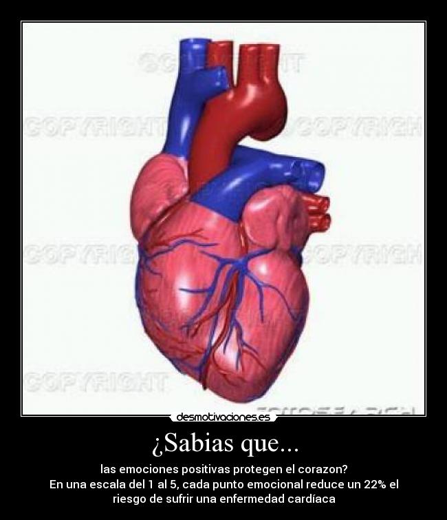 carteles corazon sabias que desmotivaciones