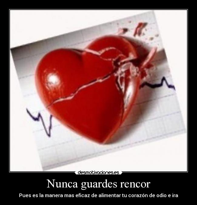 Nunca guardes rencor - 