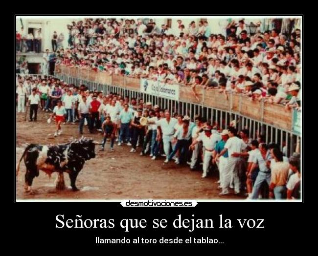 Señoras que se dejan la voz - llamando al toro desde el tablao...