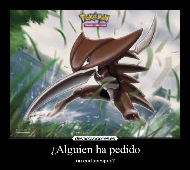 ¿Alguien ha pedido - un cortacesped?