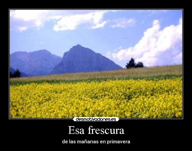 Esa frescura - de las mañanas en primavera