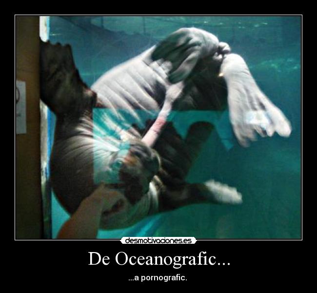 De Oceanografic... -
