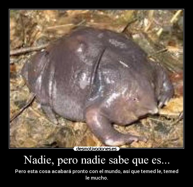 Nadie, pero nadie sabe que es... - Pero esta cosa acabará pronto con el mundo, así que temed le, temed le mucho.