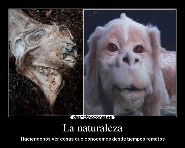 La naturaleza - Haciendonos ver cosas que conocemos desde tiempos remotos