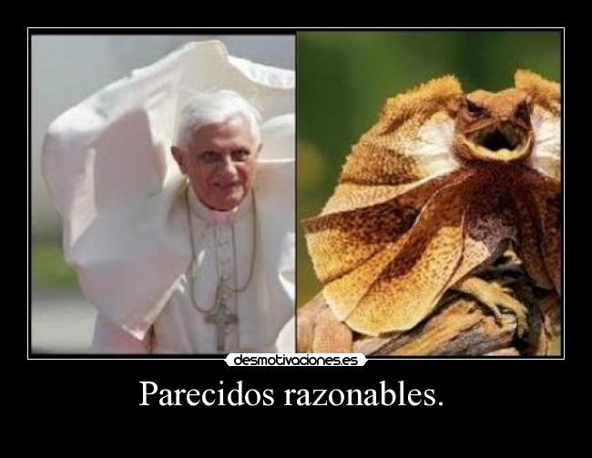 Parecidos razonables. -