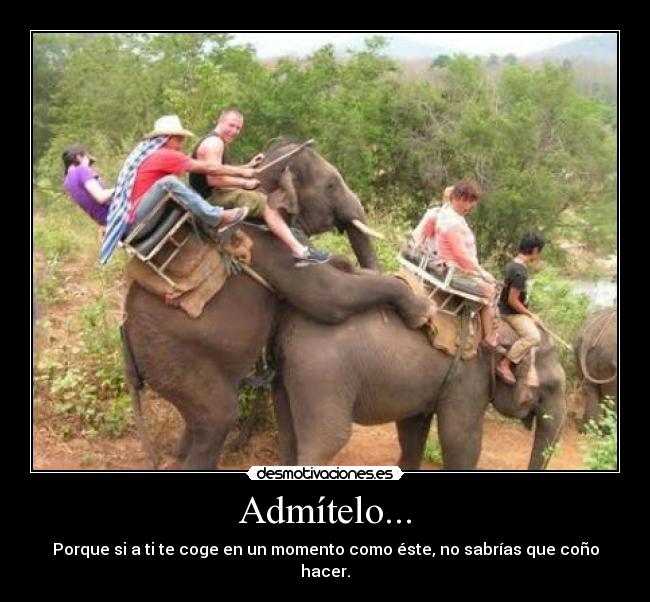 Admítelo... - 
