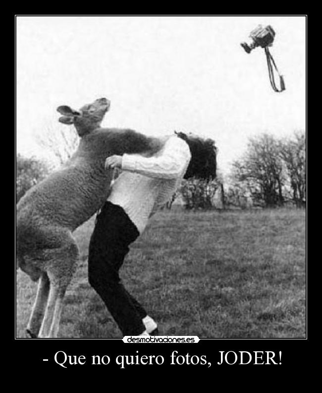 - Que no quiero fotos, JODER! - 