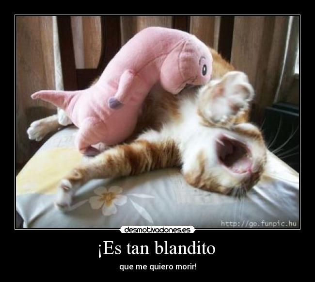 ¡Es tan blandito -