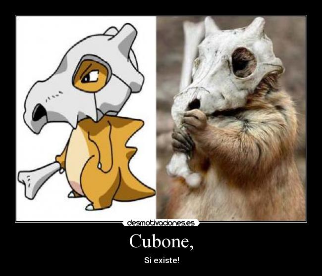 carteles cubome pokemon desmotivaciones