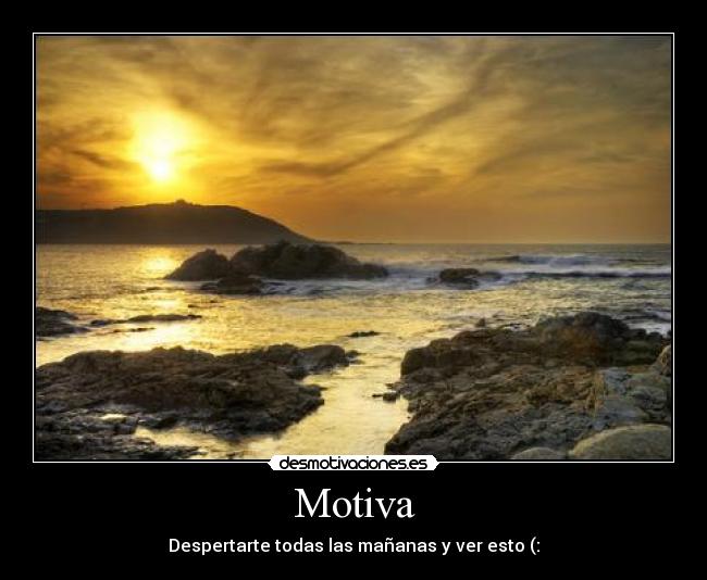 Motiva -