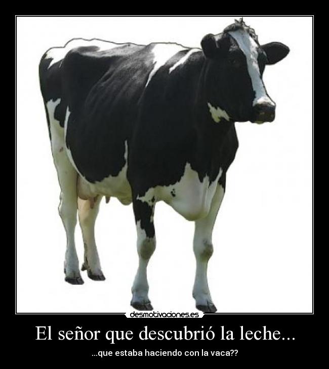 carteles gdsgs desmotivaciones