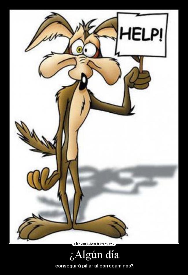 carteles coyote correcaminos desmotivaciones